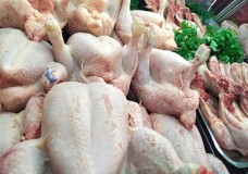 غلاء الدواجن في رمضان: دعوة لحماية الحلقة الأضعف