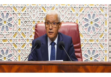 إحالة قانون المحاماة على المحكمة الدستورية!